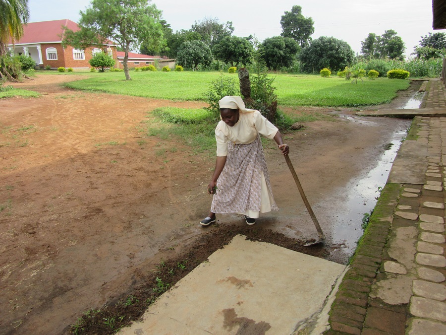Nun hoeing contently.