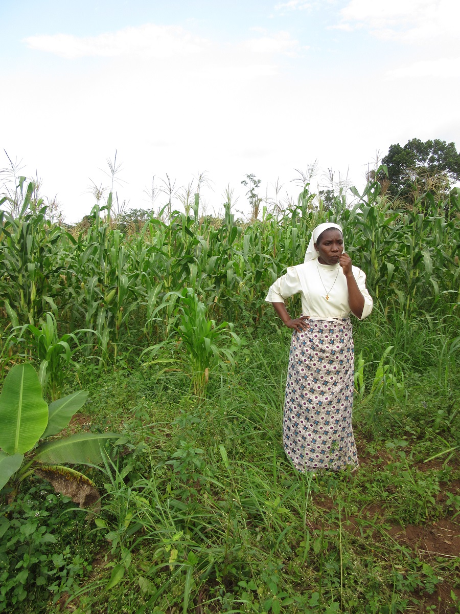 Sr. Carolyne contemplates her cornfield - once, after she had planted the seeds, a bunch of monkeys came by and dug up her work for a snack.