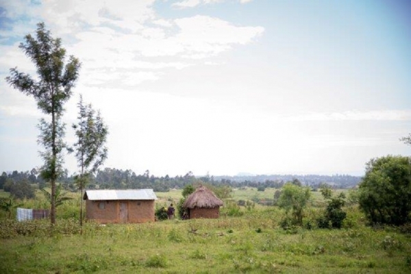 A Well for Sister Fidelis