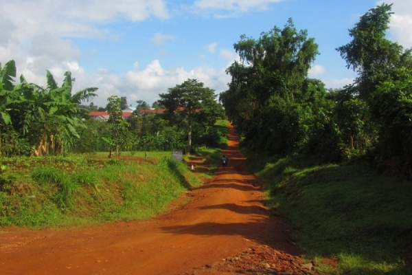 The Brightness of Nkokonjeru
