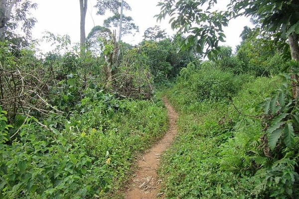 Clean Drinking Water for St. Paul's Boys School