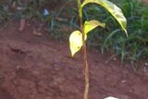 Side Trip During My Internship in Uganda