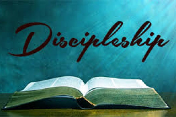 June 30, 2019 - Thirteenth Sunday in Ordinary Time