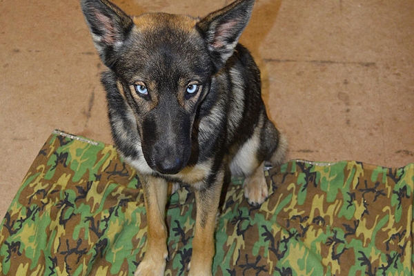 We are an Easter People