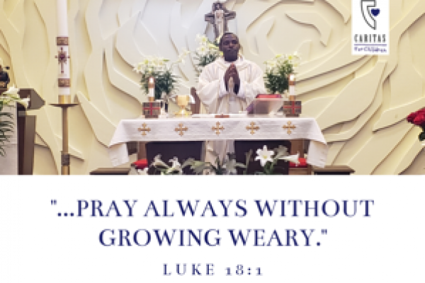 October 20th, 2019 - Twenty-ninth Sunday in Ordinary Time