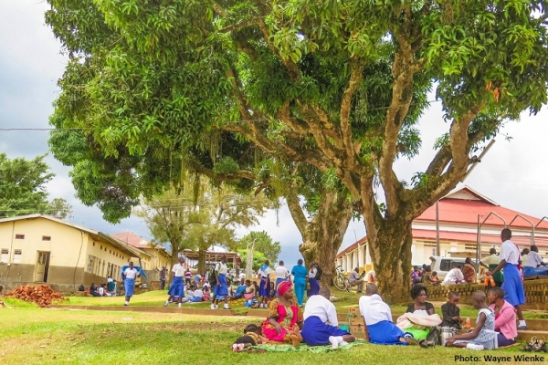 Child Sponsorship Programs, Like a Tree Planted Near Streams of Water