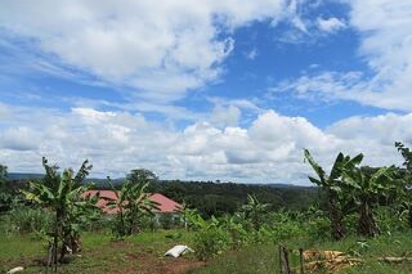 Seven Essentials for Travel to Uganda